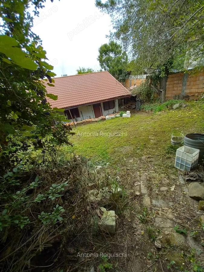 De vanzare casa batraneasca cu teren generos in Poiana Golului Re?i?a - 3 De vanzare casa batraneasca cu teren generos in Poiana Golului Re?i?a - 3