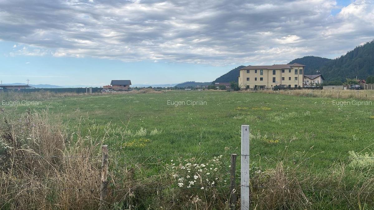 Teren Construcții intravilan de 9940 mp, în Glăjărie - 3
