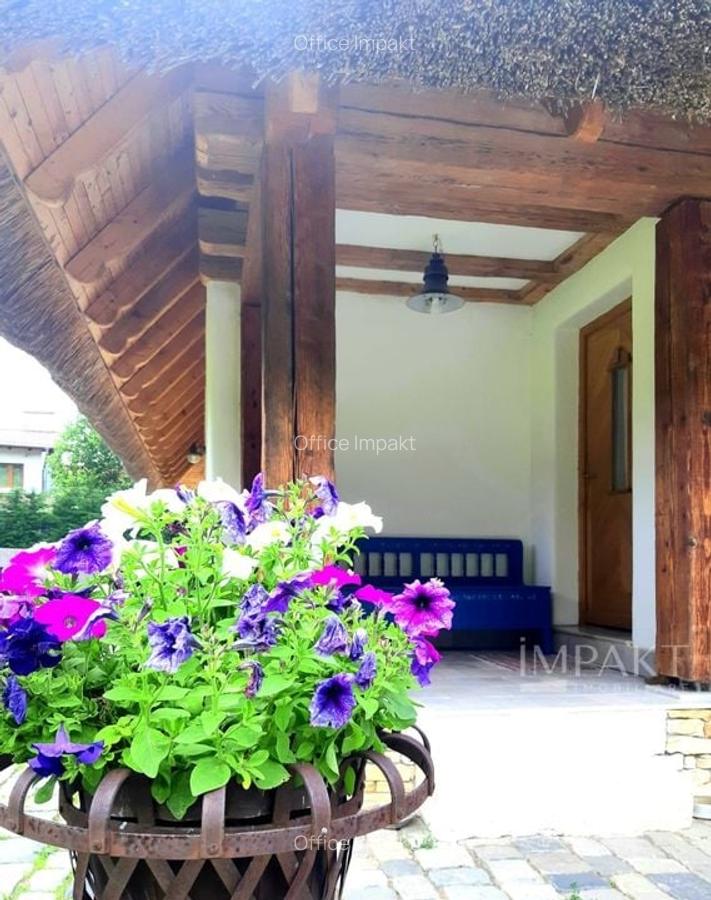 Casa traditionala de vis, aproape de Cluj-Napoca - 19