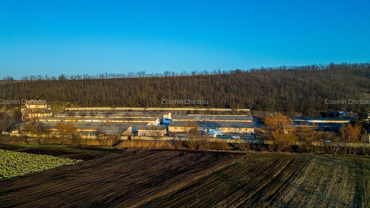 Fosta Ferma a Partidului de la Horgesti - de vanzare - 22