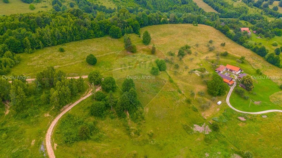 Teren Parcul National Bucegi/Str Glajarie Rau Mare/Panicel/Sohodol - 7