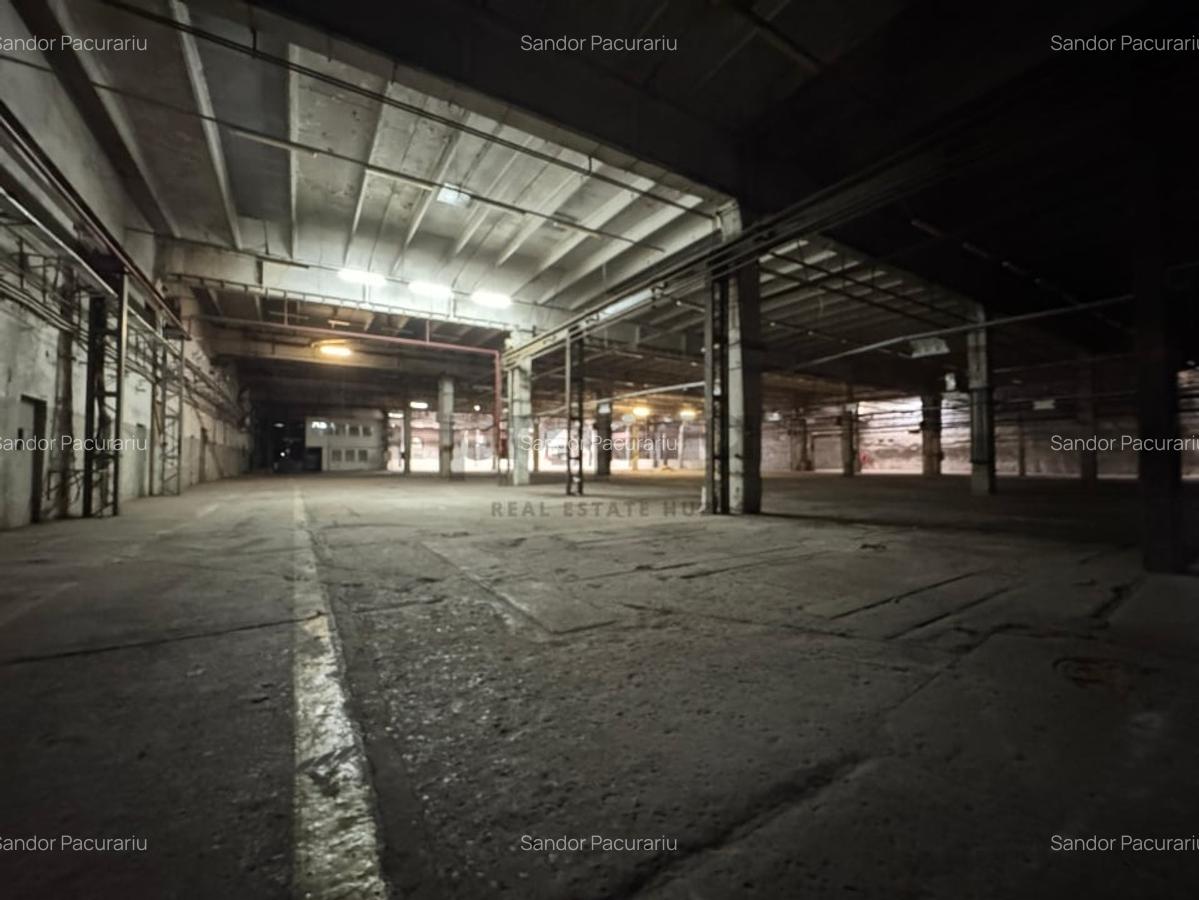 Spațiu industrial, 240 mp în Sud - 7