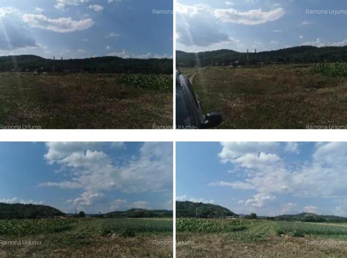 Cota de 1/2 din teren 2356 mp Com. Mihaesti, jud Valcea - 4 Cota de 1/2 din teren 2356 mp Com. Mihaesti, jud Valcea - 4