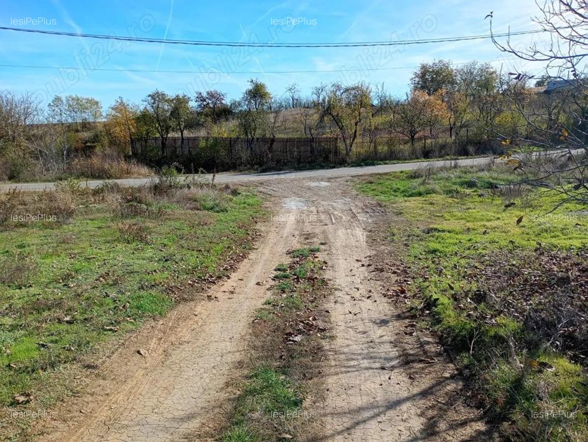 Oportunitate unica teren de 2.050 mp langa lac ?i padure, ideal pentru locuin?a sau investi?ie! - 5