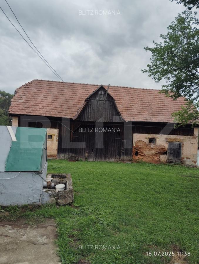 Casa la tara de vanzare, teren de 6000 mp - Cacova Ierii, Comuna Iara, Cluj - 4