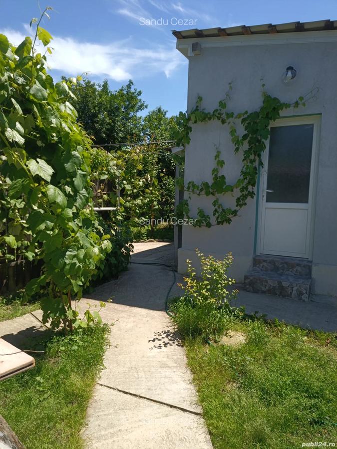 Case de vinzare confort apartament - 2 Case de vinzare confort apartament - 2