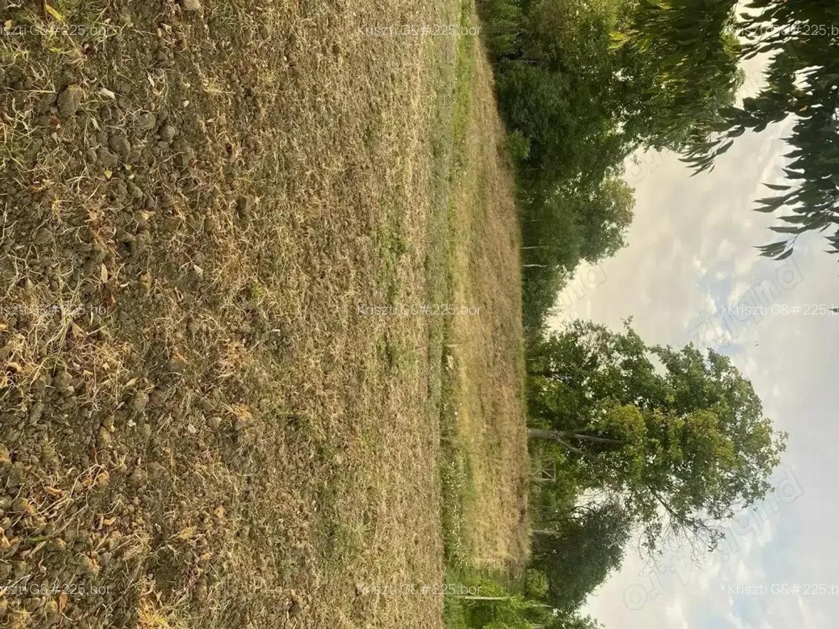 Casa de vanzare in Craiesti comuna Adamus - 8