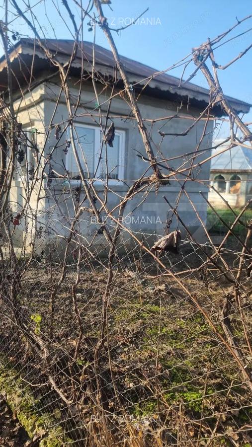 Pachet complet: casa + 800 mp Cocorastii Colt - 3