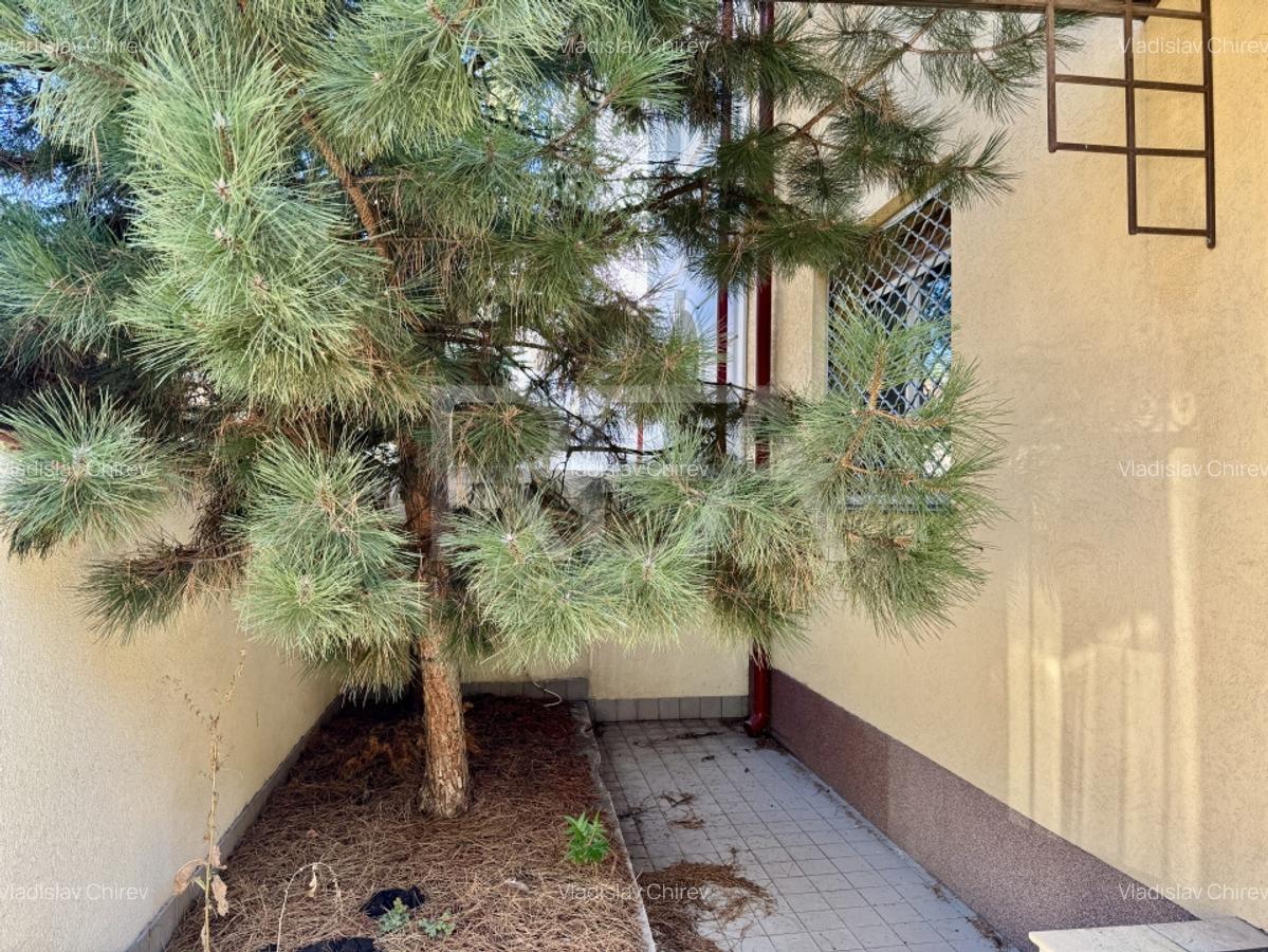 3 camere in vila langa Piata Floreasca - 14