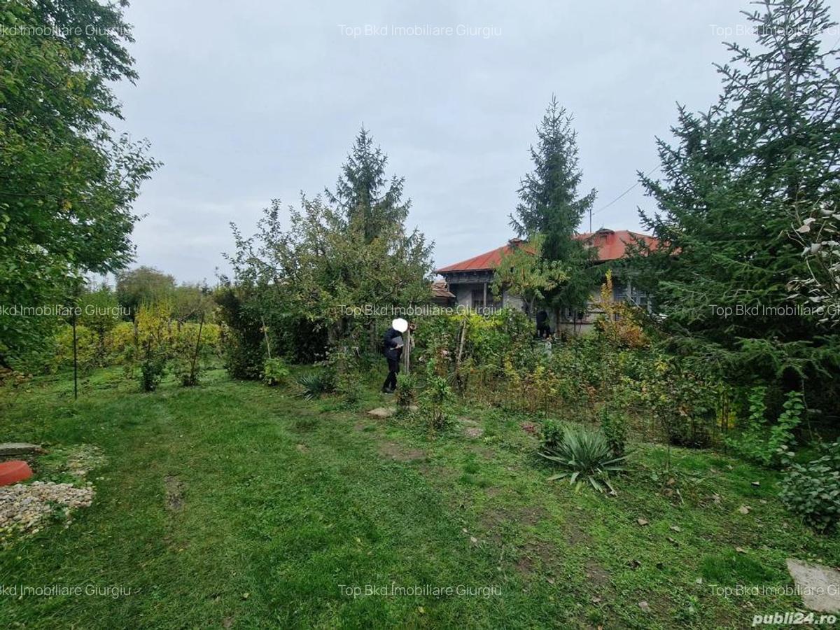 Casa +Teren1300mp[livada+vie] Sat Izvoru Giurgiu - 2