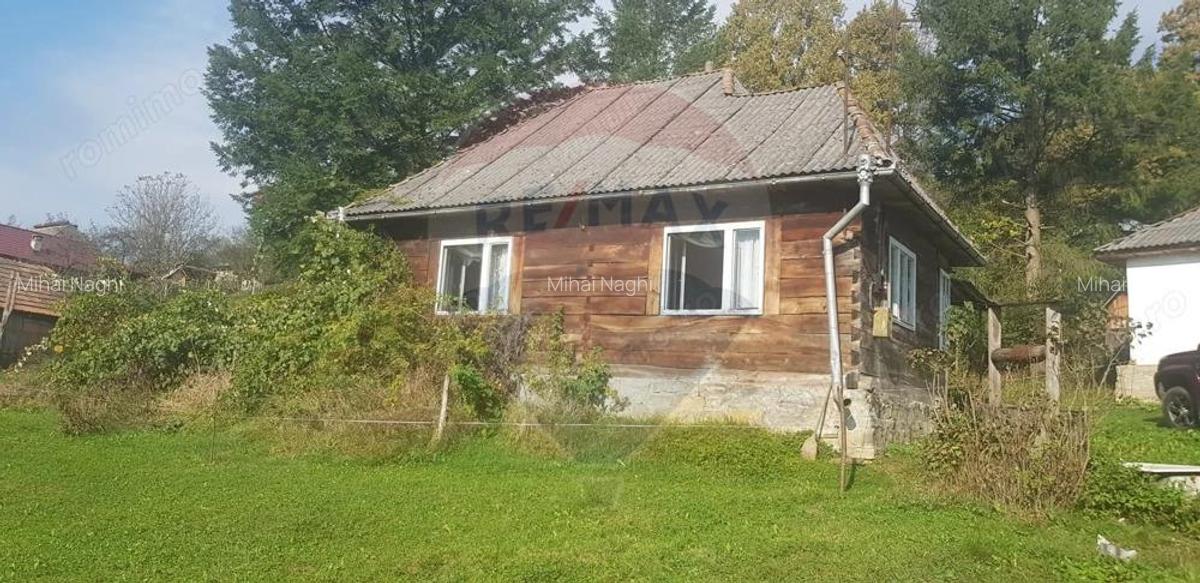 Casa si teren 1.6 ha de vanzare, in Rona de Jos - 2