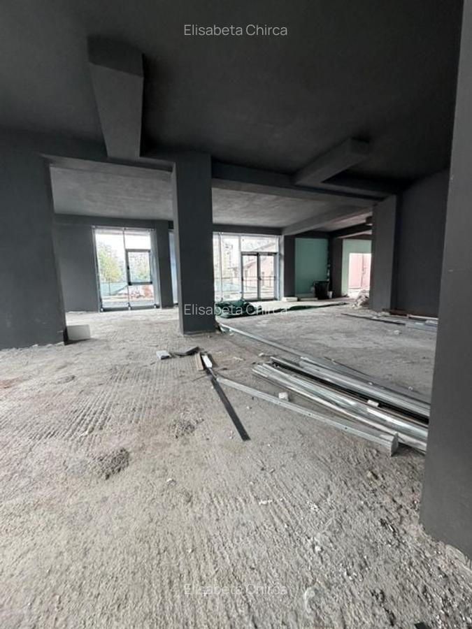 Zona P-ta Alba Iulia sp 165 mp open space +terasa 120 mp - 6