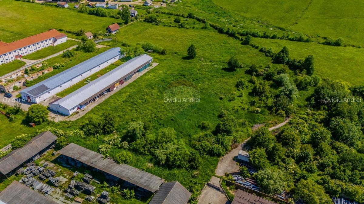 Spatiu industrial de 700mp de inchiriat - 11