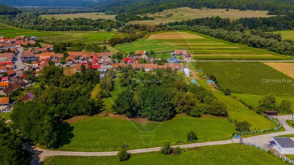 Casa saseasca cu gradina de VANZARE/ Bogata Olteana/ Hoghiz - 22