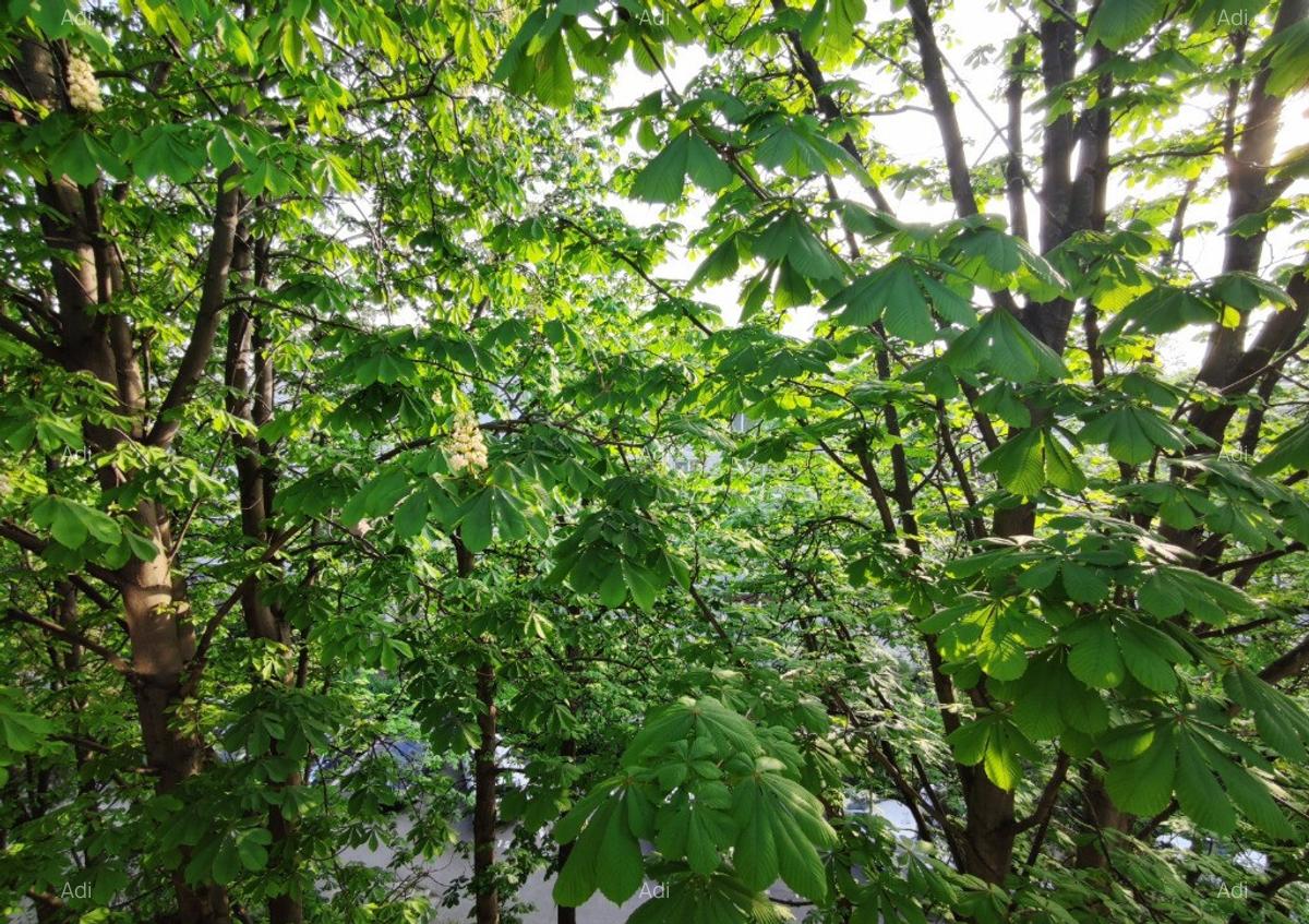 Inchiriez apartament Tomis II apartament 2 camere (transformat in 3) - 5