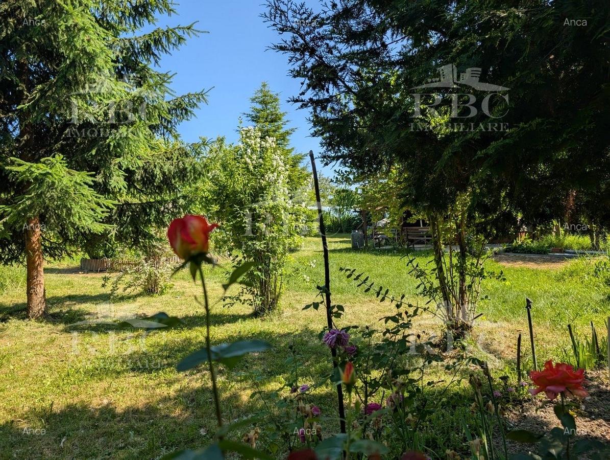 Teren pentru constructie casa in Faget - 2