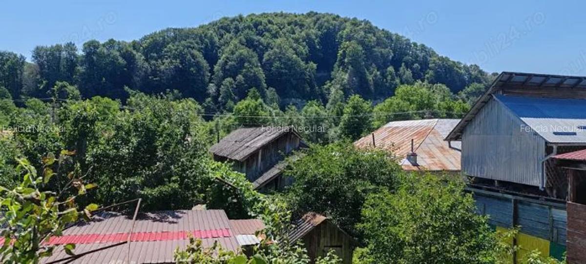 Casă/Vilă de vânzare în Comuna Bezdead, Jud. Dâmbovița, Pucioasa ( la 25 km de Sinaia ) - Negociabil - 2