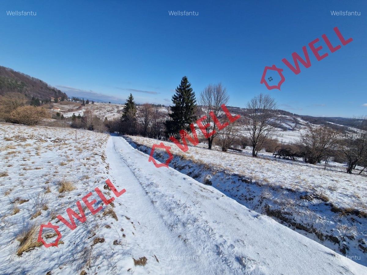 De vânzare teren extravilan în Vama Buzăului! - 5