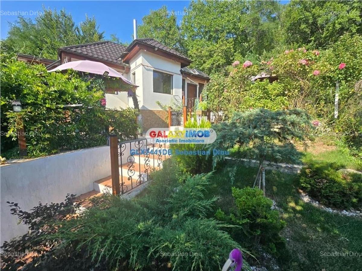 Vanzare casa Razvad - 1