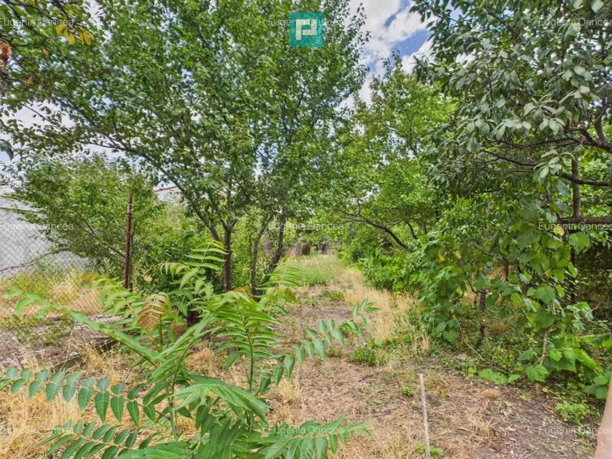 Teren 1.484 mp in zona Iosefin - 6