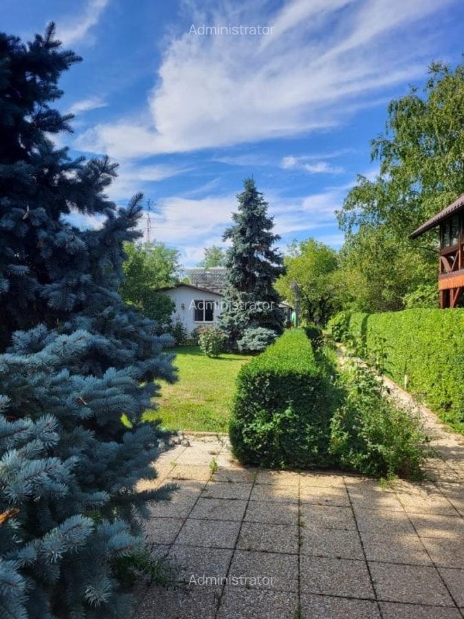 Refugiu verde în Snagov – Confort, spațiu și independență - 6