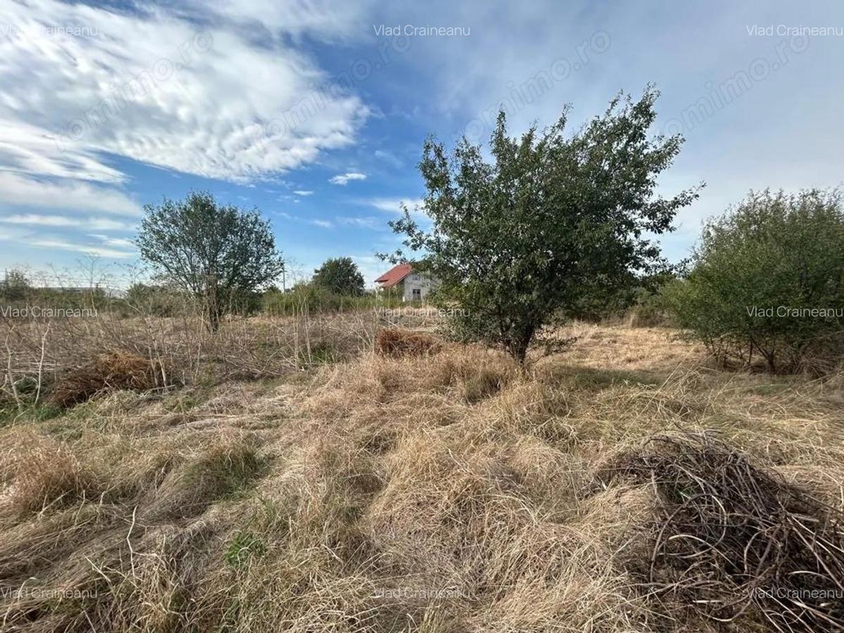 COMISION 0 | Teren intravilan | 945mp | Sacalaz Vest - 6