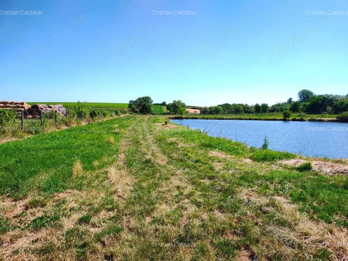 Teren 18.247 mp cu balta de pescuit Misca, Comuna Chislaz, Bihor - 5