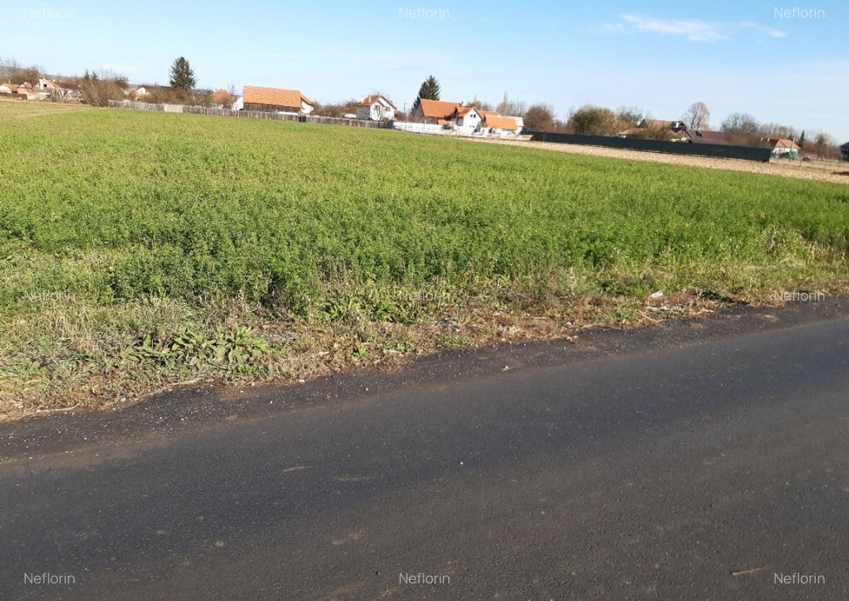 Vanzare teren intravilan construibil - 3