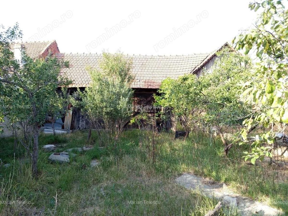 Berliste, Casa 6 Incaperi, 1129mp Teren, Pret Negociabil - 17