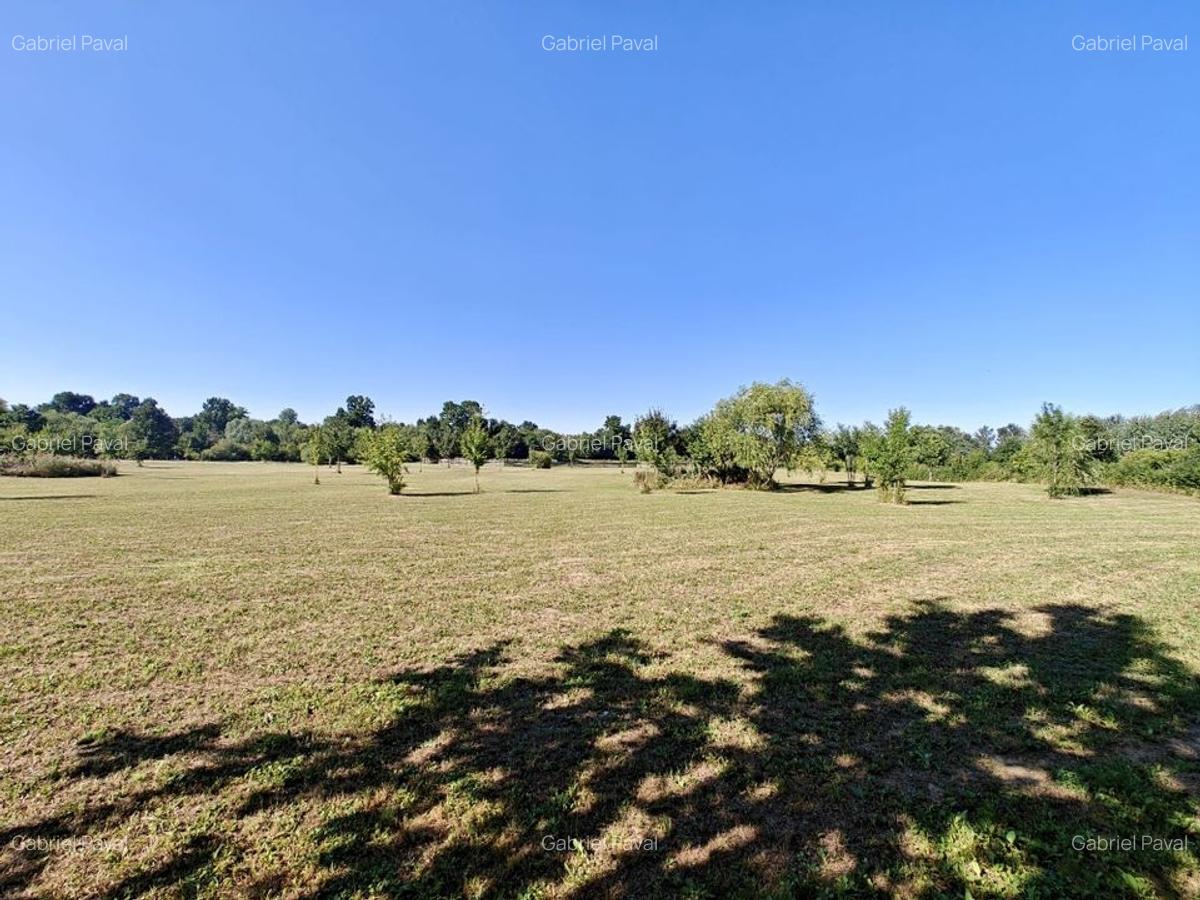 De vânzare: Teren 12.600 mp - Ghiroda - Comision 0% - 6