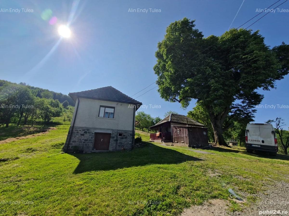 Casa de vanzare in Tranisu ( Valea Draganului ) - 1