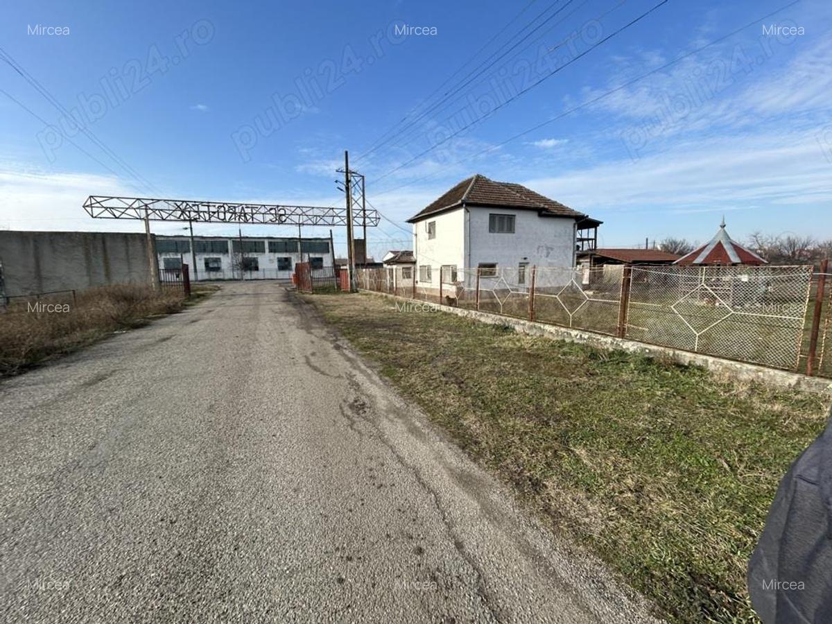 Vand teren intravilan,zona industriala,st.16,8 ha. + 8 ha.agricol,in Sanicolau Mare, la DN6,la sosea - 4