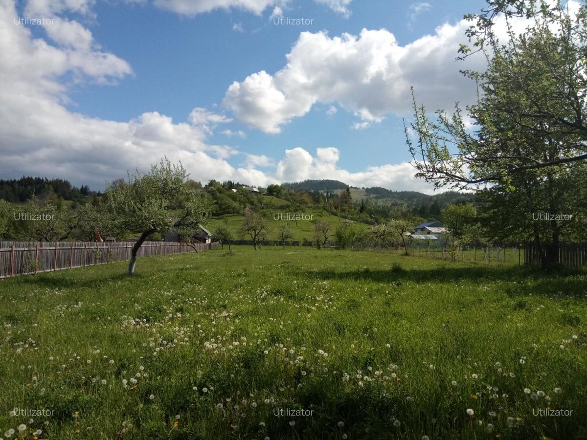 Teren intravilan in Nereju, Vrancea - 3