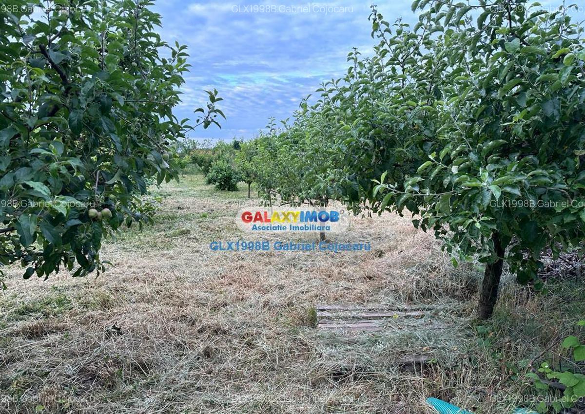 Teren de 754mp Corbeanca zona Laguna Albastra - 3