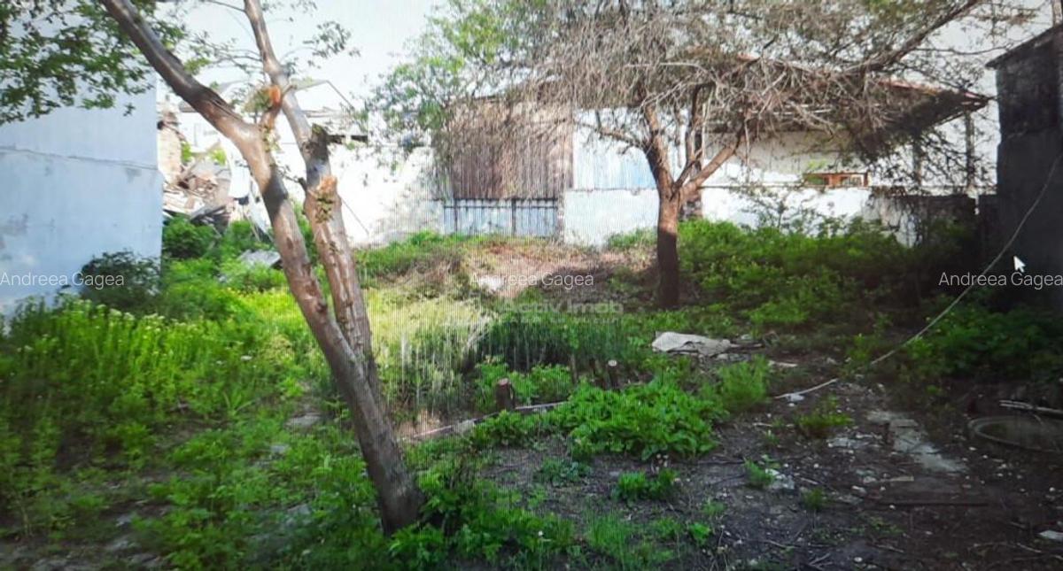 Teren pentru casa-Bucurestii Noi-pozitie foarte buna - 2