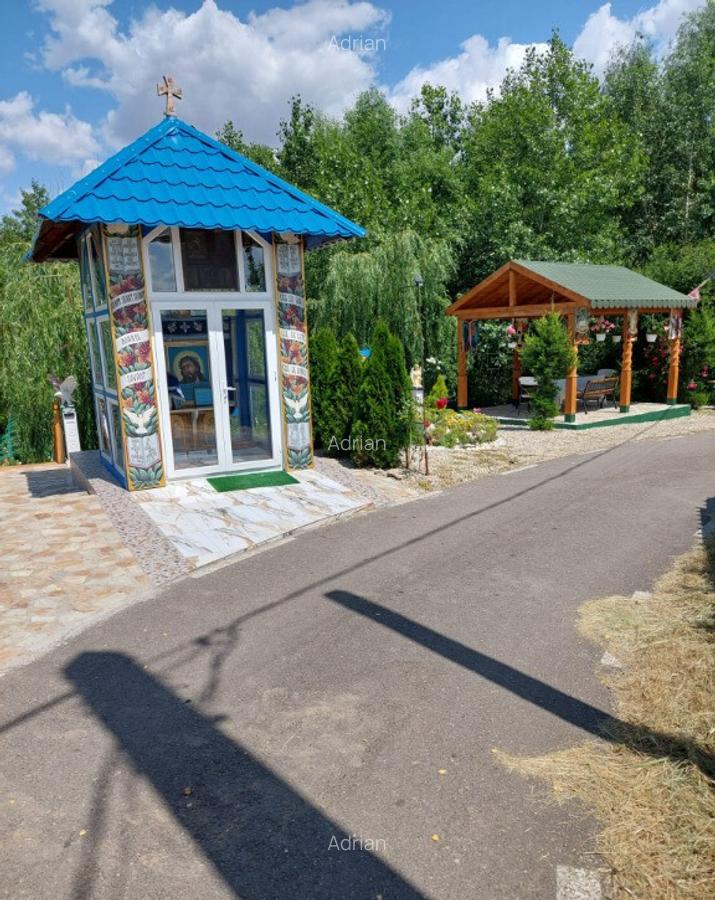 Vand casa cu livada in satul Ionesti Arges - 7