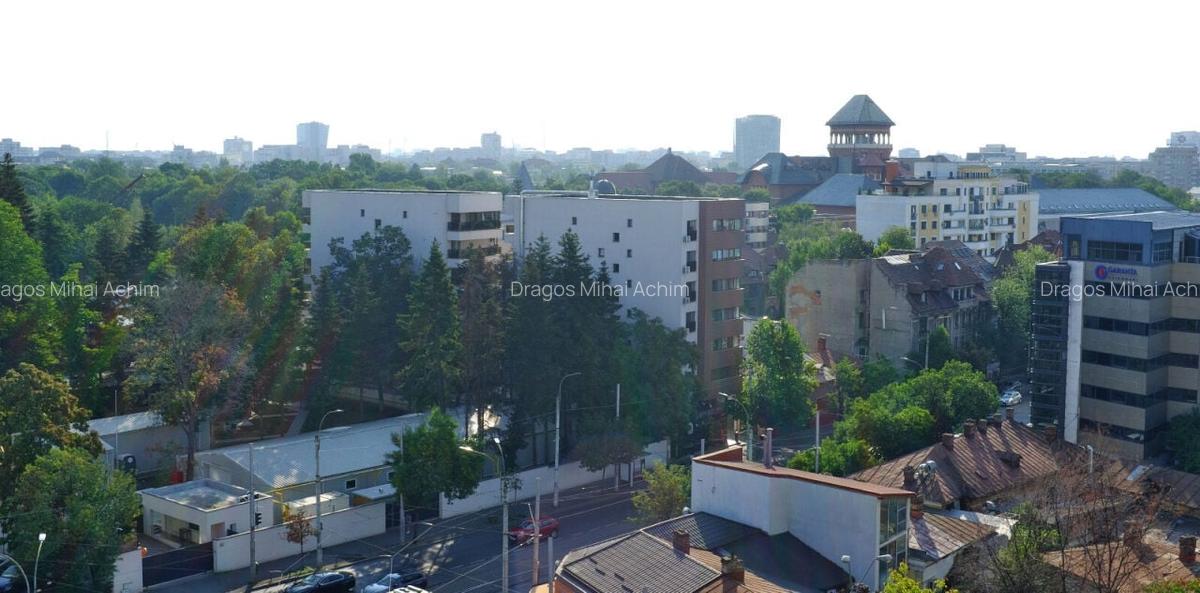 Garsoniera inchiriere , Pet friendly - Piata Victoriei - Banu Manta - 2