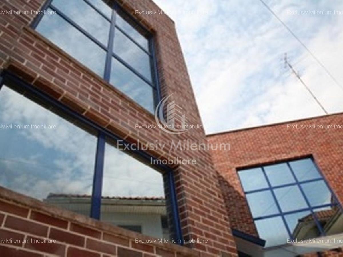 Stefan cel Mare / Comerciale/Birouri/ Hala industriala - 2