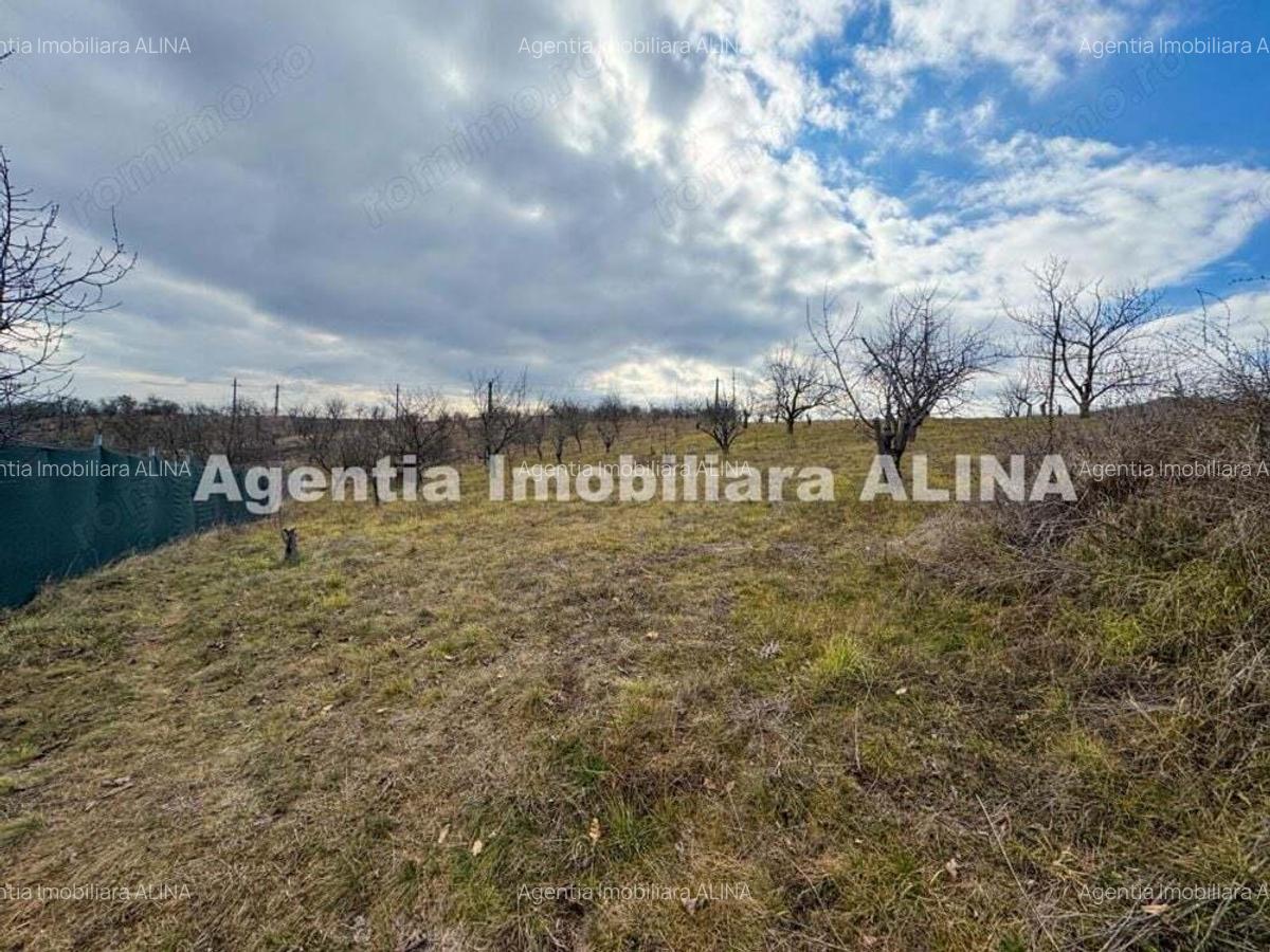 15 parcele de Teren intravilan in Deva, zona Calugareni, Strada Prunilor, Jud. Hd, cu PUZ, PUD, etc. - 3