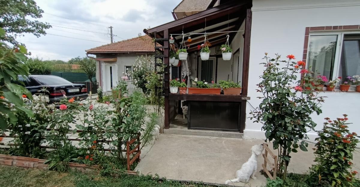 Casa cu teren aferent 1000 m2 - 5