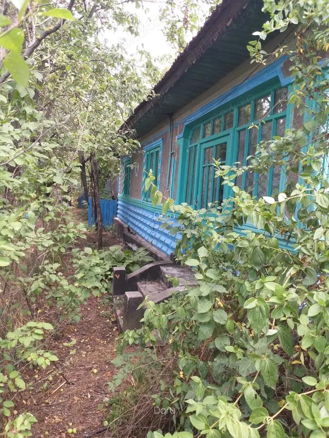 Oferta Teren 5000 MP + Casa batraneasca de Vanzare in Comuna Dragane?ti, Prahova - 2 Oferta Teren 5000 MP + Casa batraneasca de Vanzare in Comuna Dragane?ti, Prahova - 2