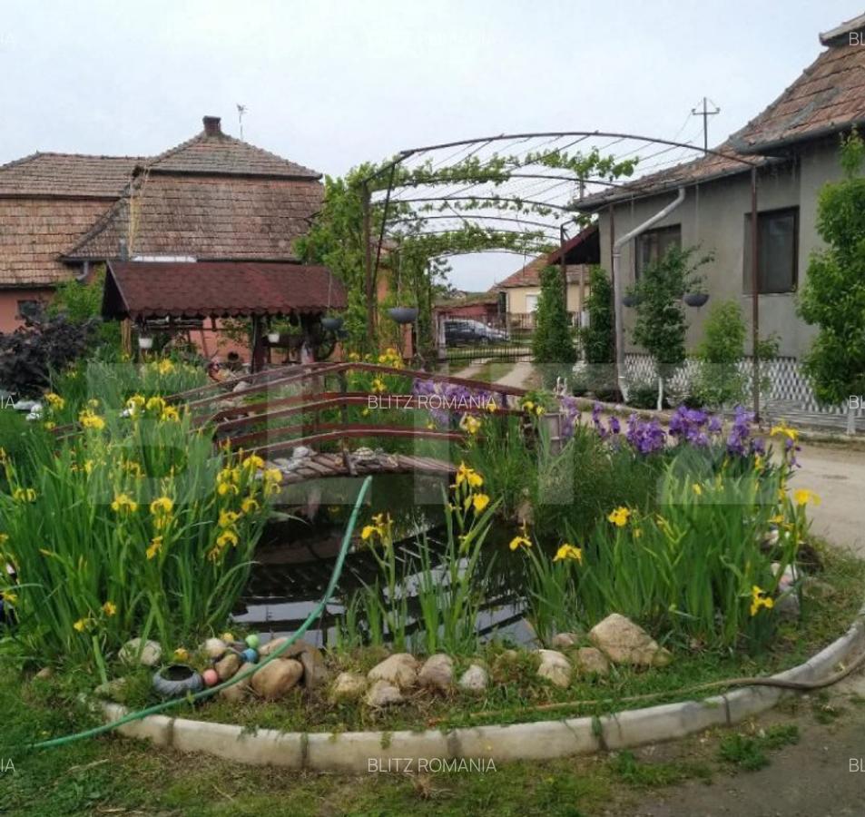 Casa 6 camere, 250 mp, zona Luncani - 6