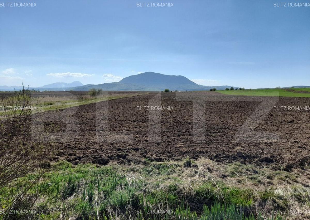 TEREN Extravilan 15000 MP in Zona Codlea - 2