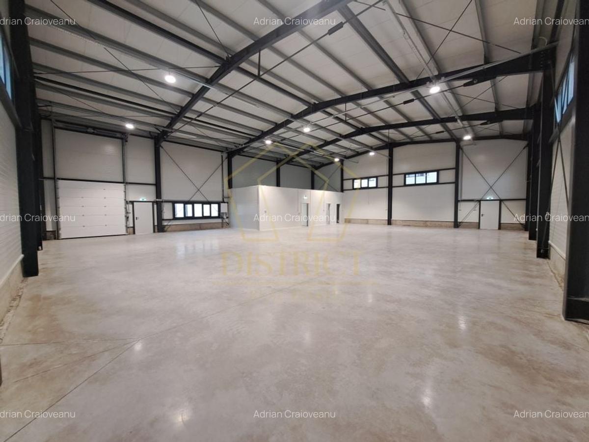 COM 0% Hale servicii, birouri și depozitare de inchiriat  | Giarmata-Vii - 1