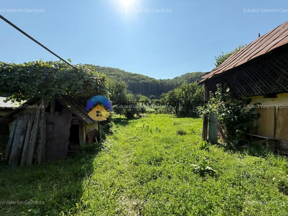 Casa batraneasca / Piatra Neamt / Pentru iubitorii de natura - 3