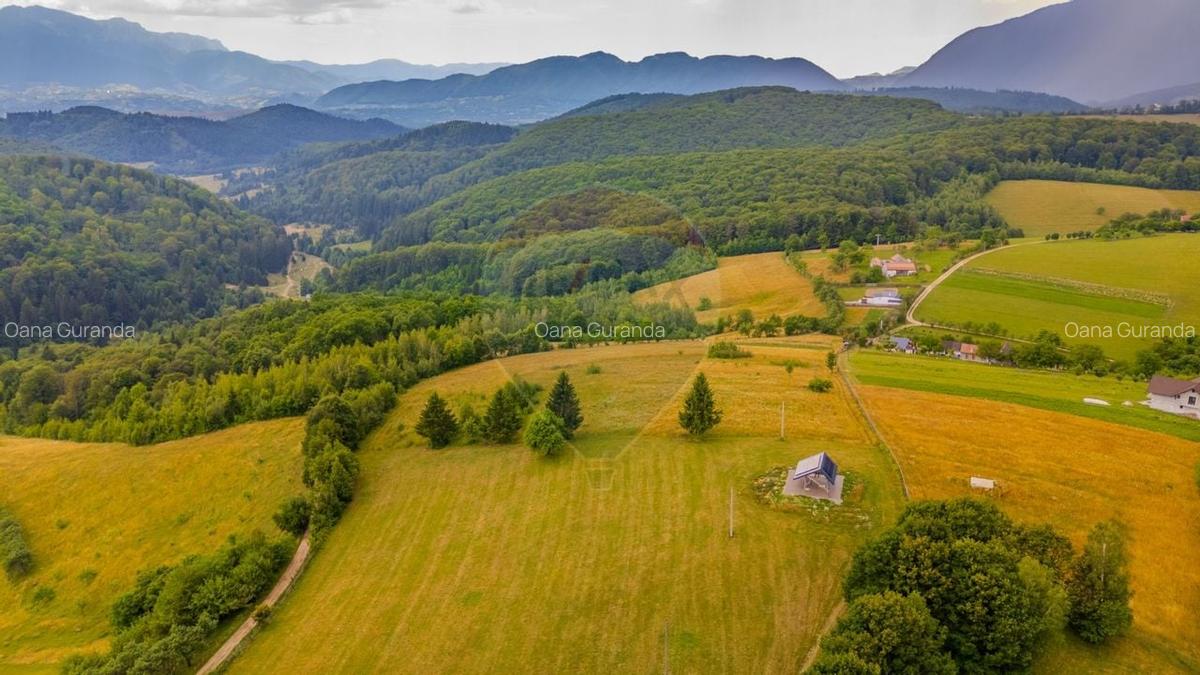 Teren Construcții intravilan de 11600 mp, în Poiana Mărului - 4