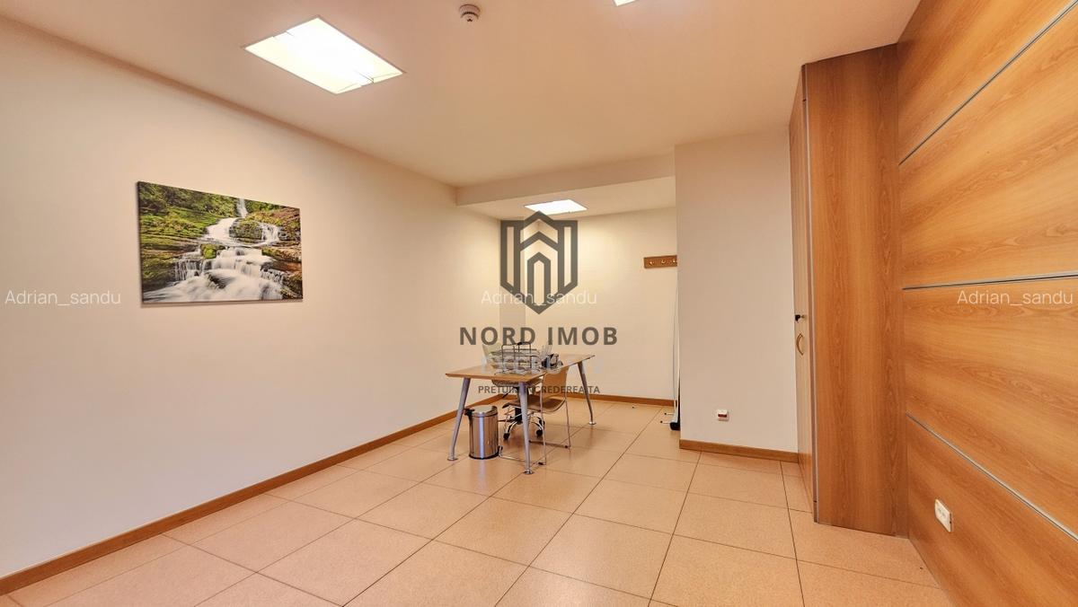 OPORTUNITATE! Spatiu de birouri 6 camere | 266 mp | 5 Bai | 2 terase | Herastrau - 13