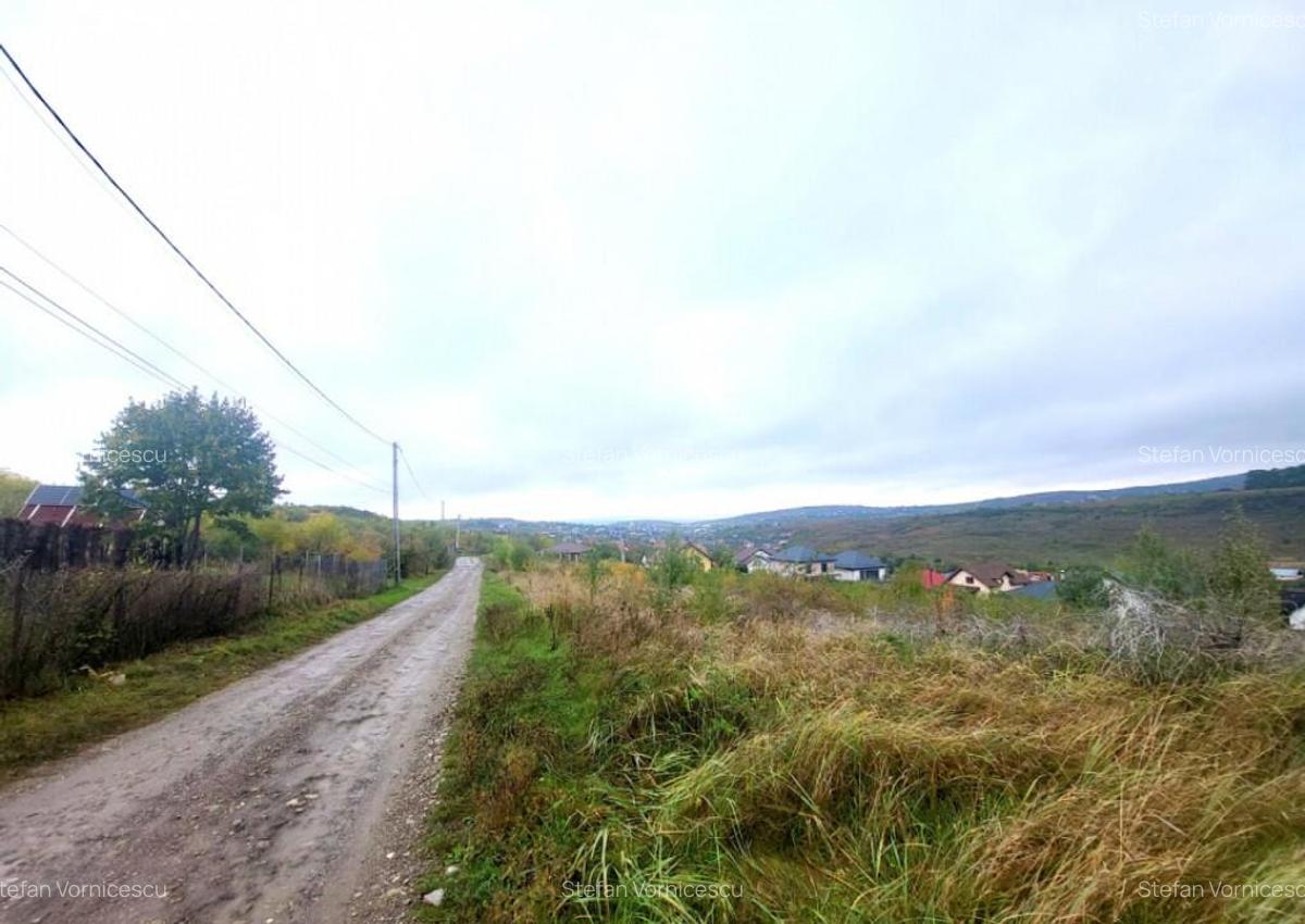 Teren de vanzare Barnova, cu priveliste Vanzare imediata - 10