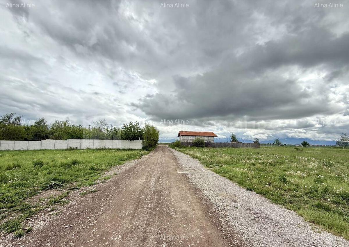 Teren intravilan, PUZ aprobat, 800 mp, apa si canalizare,... - 2