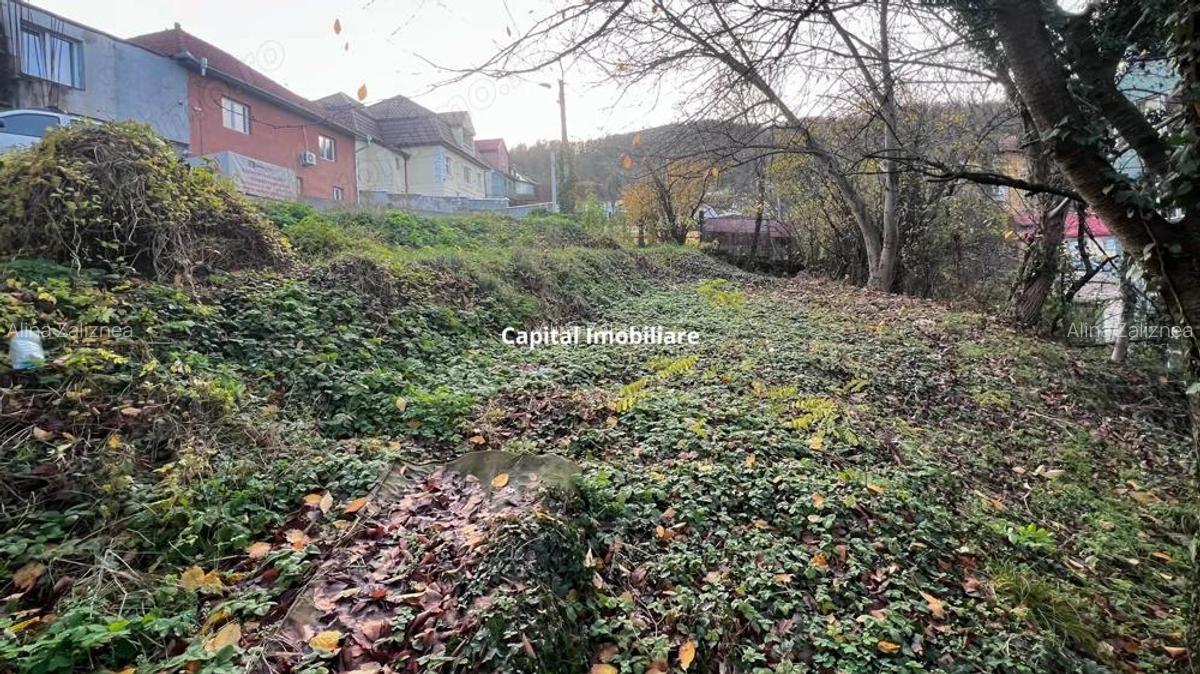 Teren intravilan 1001 mp in Re?i?a, aproape de centru - 2